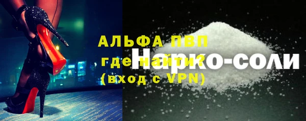 молекула духа Козельск