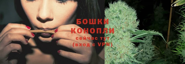 молекула духа Козельск