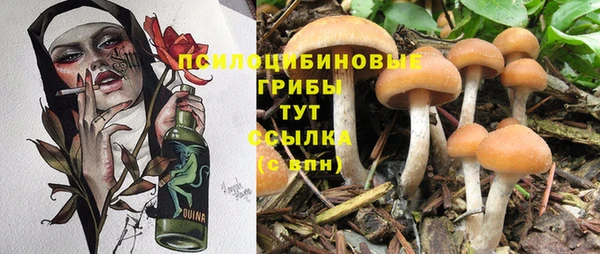 кокс Кодинск