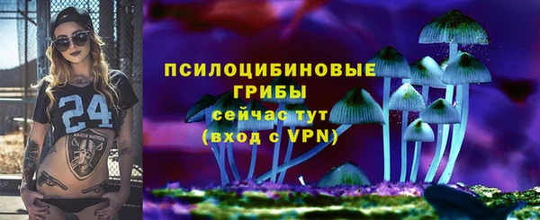 молекула духа Козельск