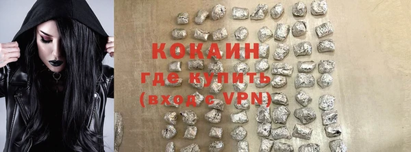молекула духа Козельск