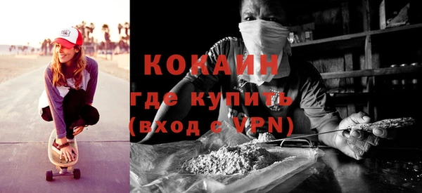 молекула духа Козельск