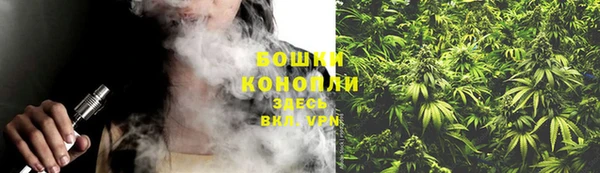 молекула духа Козельск