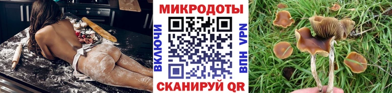 Псилоцибиновые грибы мухоморы  Купить  Снежинск 